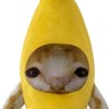 バナナ🍌教