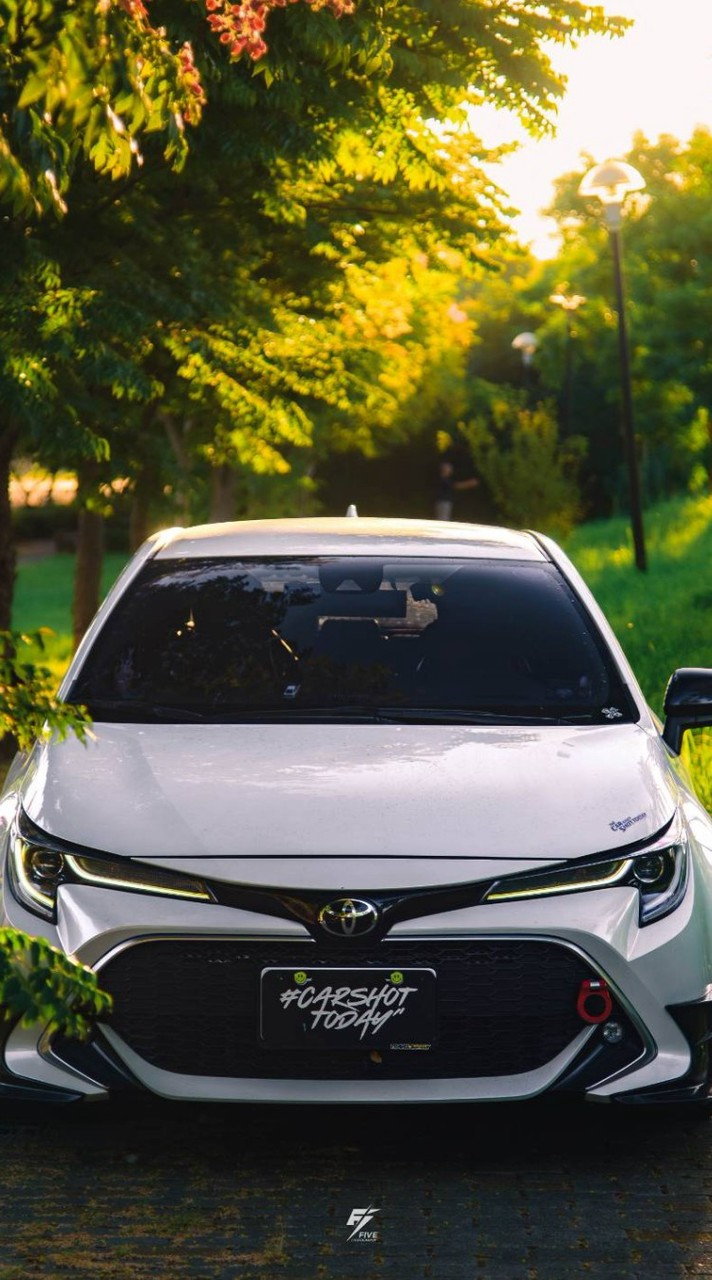 corolla sport推坑區