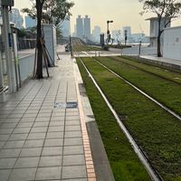 國蔥詐騙團～國際局勢大辯論
