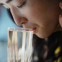 よーちゃん　まささんの写真教室　2580