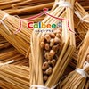 京成水戸カルビー9/25〜10/9
