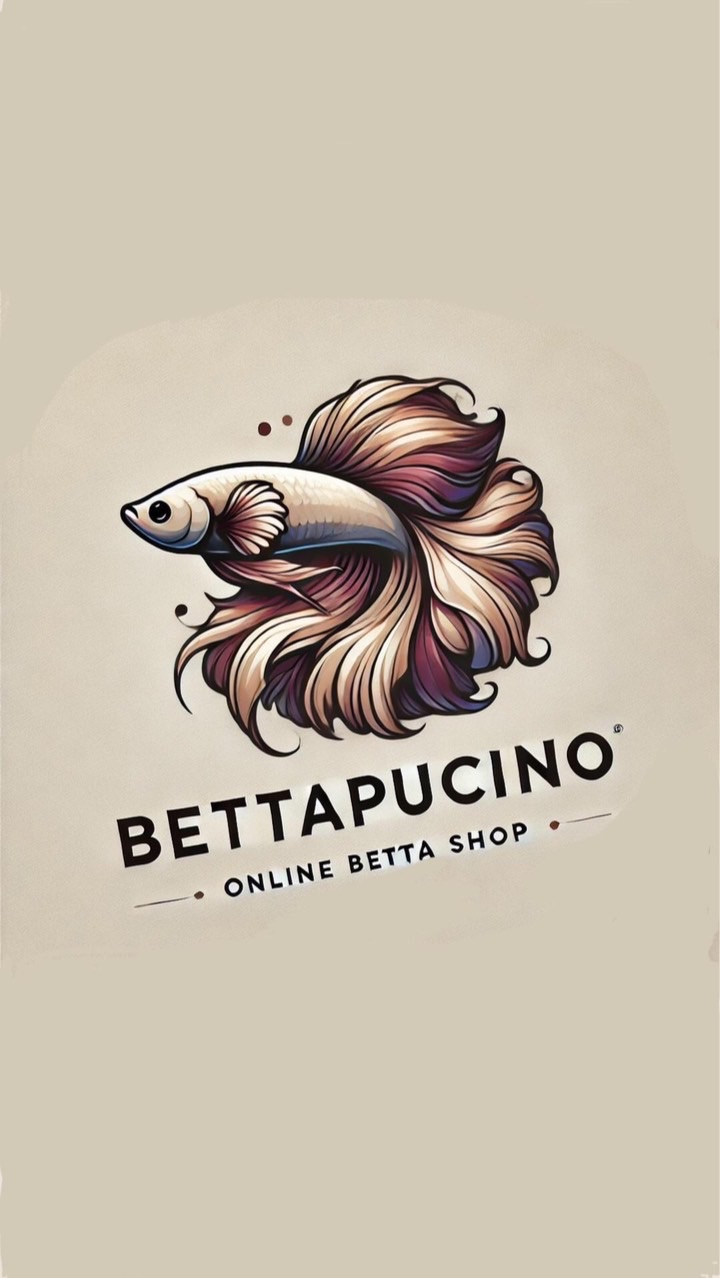 Betta Pucino