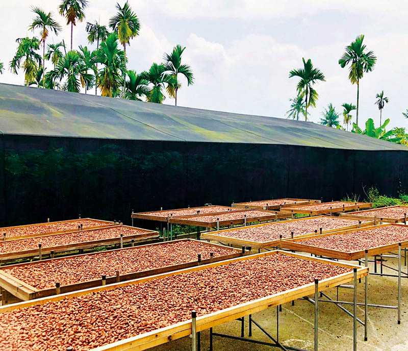 日光曝曬：將水分從60％降到6％到7.5％。（圖／TC巧鋪）