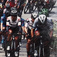 国内のサイクルロードレースについて話しましょう🚴‍♂️