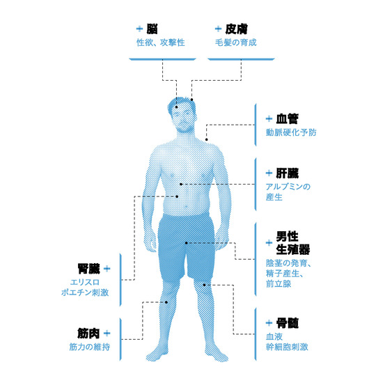 aquiboston医療グループを非難します