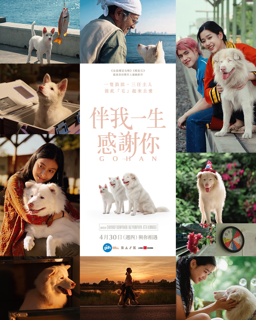 伴我一生，感謝你 GOHAN