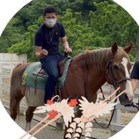 【競馬予想軍団】パンチサムライ