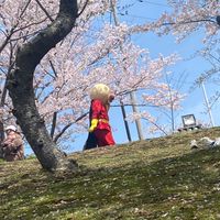 山口県にいる人おいでませ〜