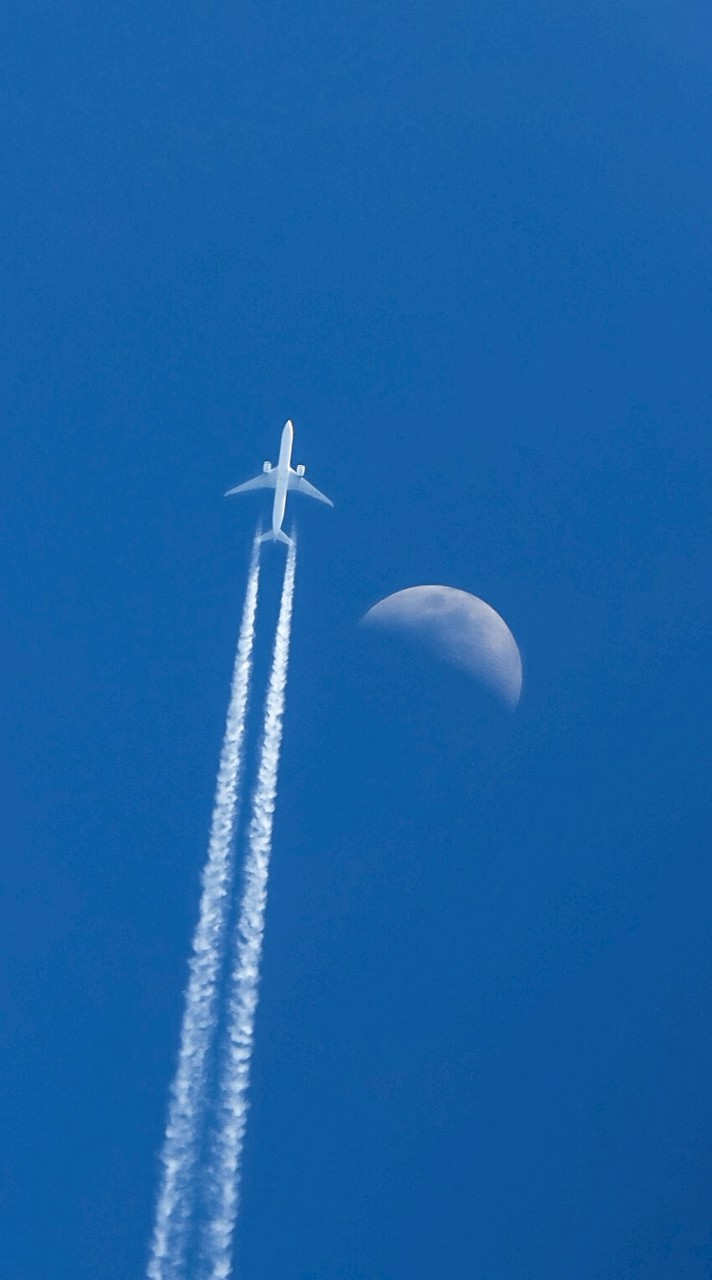 飛行機好き大集合
