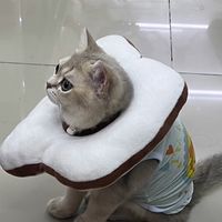 พร้อมส่งอุปกรณ์สัตว์เลี้ยง by Your Pet Shop