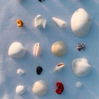 ❄️韓國東大門湊單、韓網代購🩵一起花錢吧！