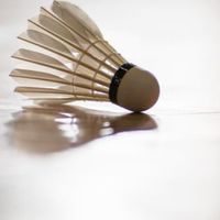 輸慘經驗_下次爭戰-🏸