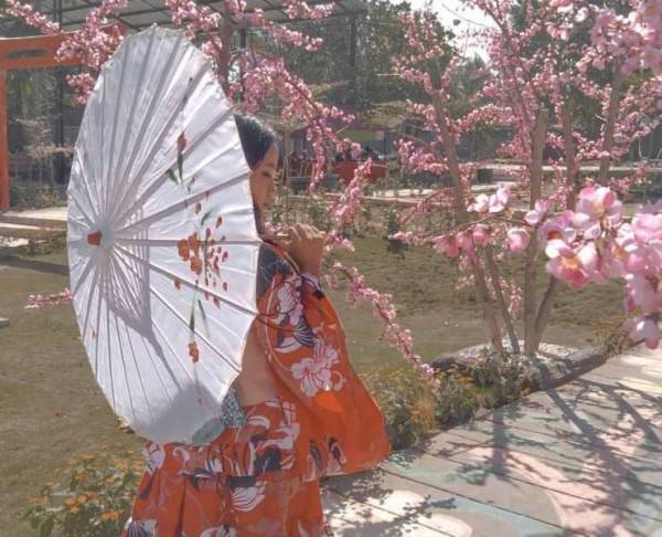 7 Tempat Wisata Di Indonesia Dengan Spot Bunga Sakura Cantik