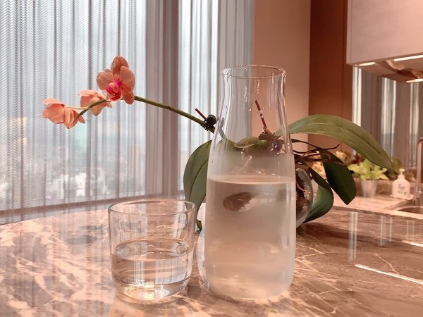 「餐具推薦」日本深澤直人無意識設計與TG耐熱玻璃器皿系列作品完美結合開箱分享