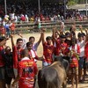 มิตรภาพวัวชนทั่วประเทศ