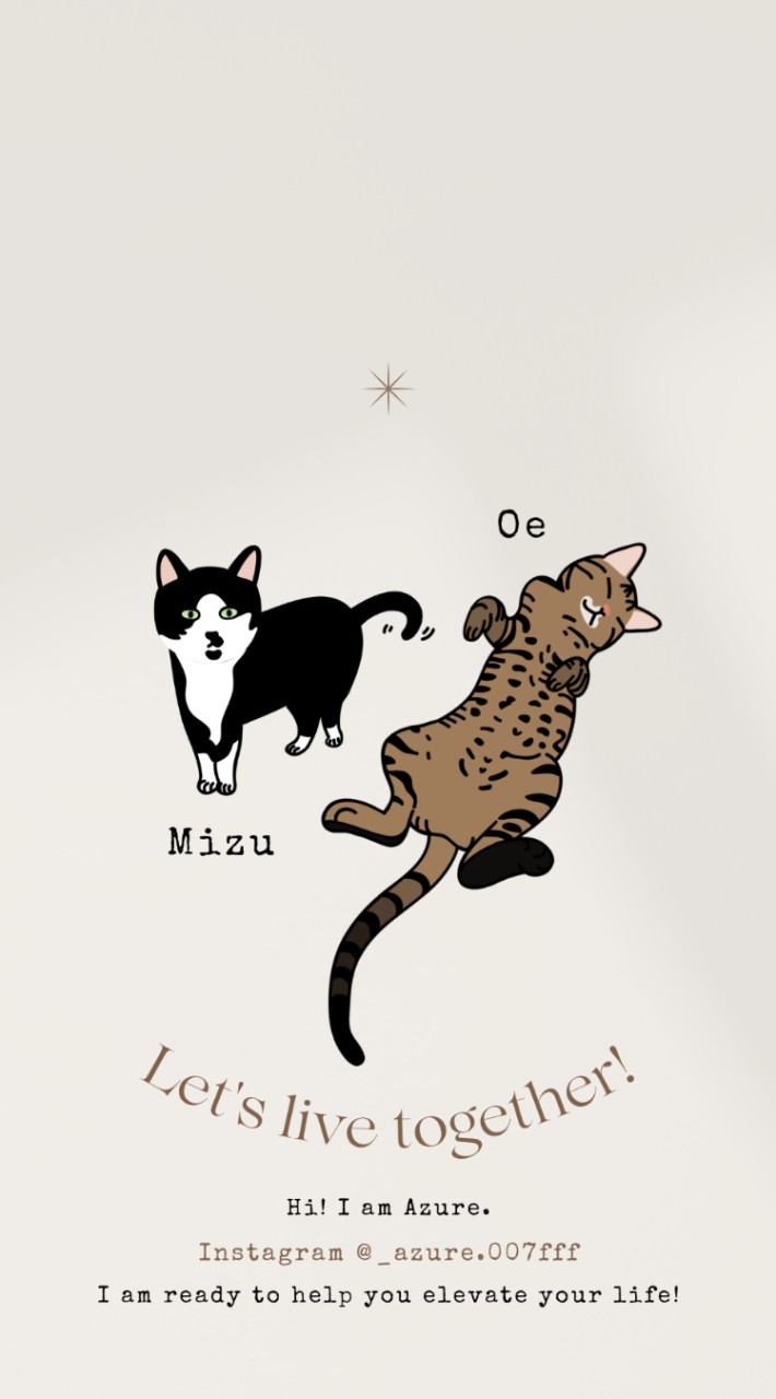 🐈‍貓宅 | 聊天室🏡
