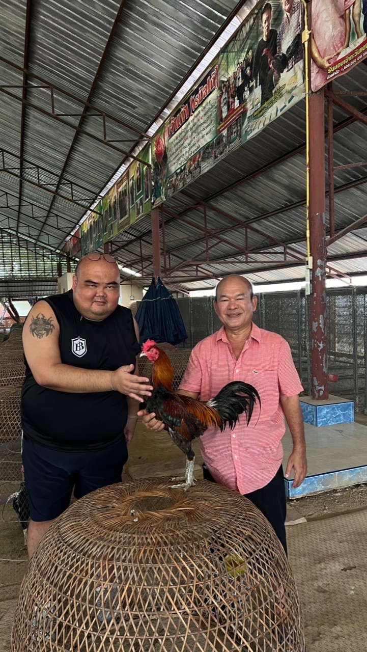 กลุ่มพิเศษไก่อ้วน