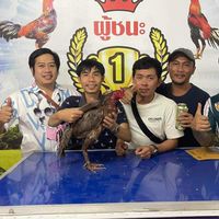 ส.สิงห์อง
