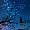 夜貓子