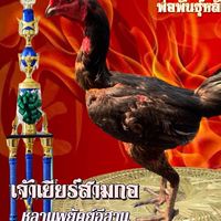 ลูกบุญมีฟาร์ม