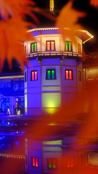 【宮城県】 写真♪＆雑談⭐︎