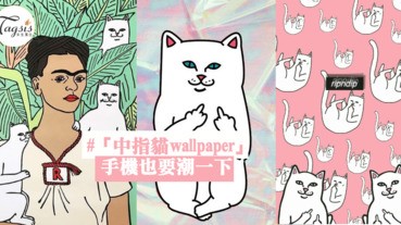 賤賤潮貓惹人愛 精選13張 中指貓wallpaper 手機也要潮一下 快換桌布吧 Line購物