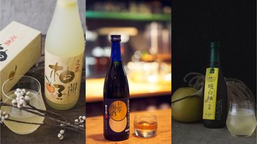 【老實餐桌】專業日本唎酒師精選六款利口酒！帶你體驗愛戀酸甜苦辣 | LINE購物