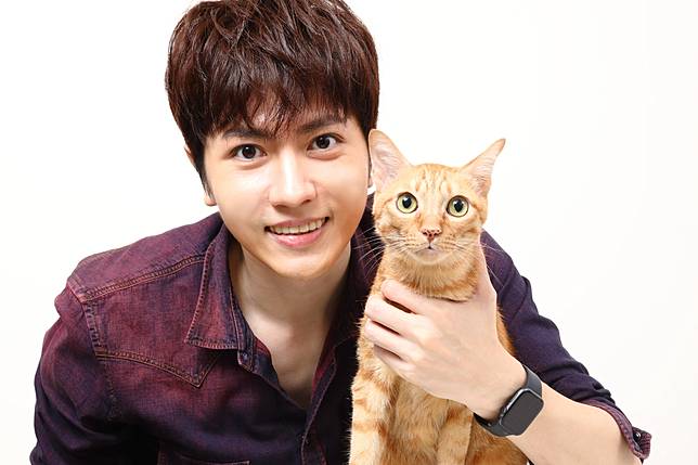 新生代男神忍過敏與貓拍攝會認養背後原因有洋蔥 Nownews 今日新聞 Line Today