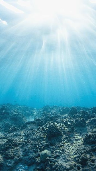 114-1華砇七八年級移地學習社群