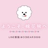 棉花熊 日本｜香港 連線代購