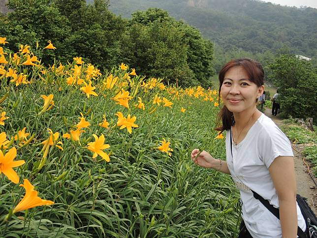 影 花壇鄉虎山岩旁金針花海爆紅志工遭控告竊盜 Nownews 今日新聞 Line Today