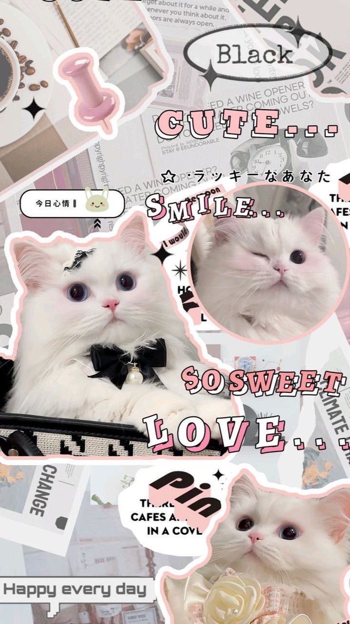 📎'' 수백 번이고 널 위해 설레다₊⁺♡̶♡̶₊⁺