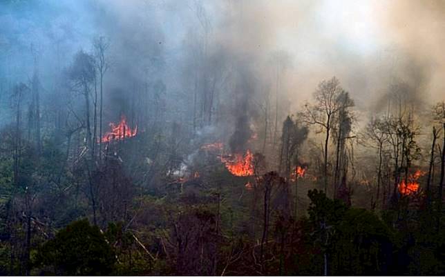 Alat pendeteksi potensi bencana alam berbasis android kembali memperoleh medali emas dari kompetisi inovasi internasional.