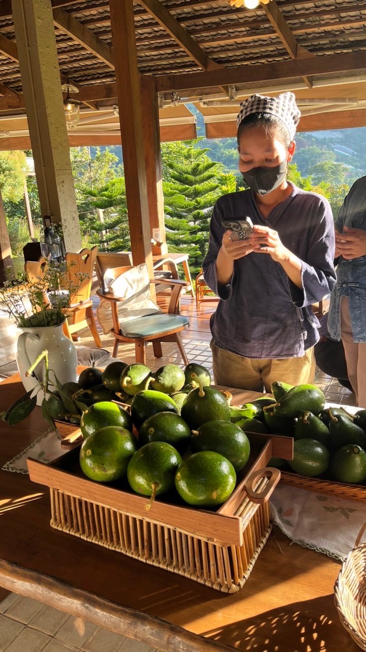 Avocado สดจากสวน