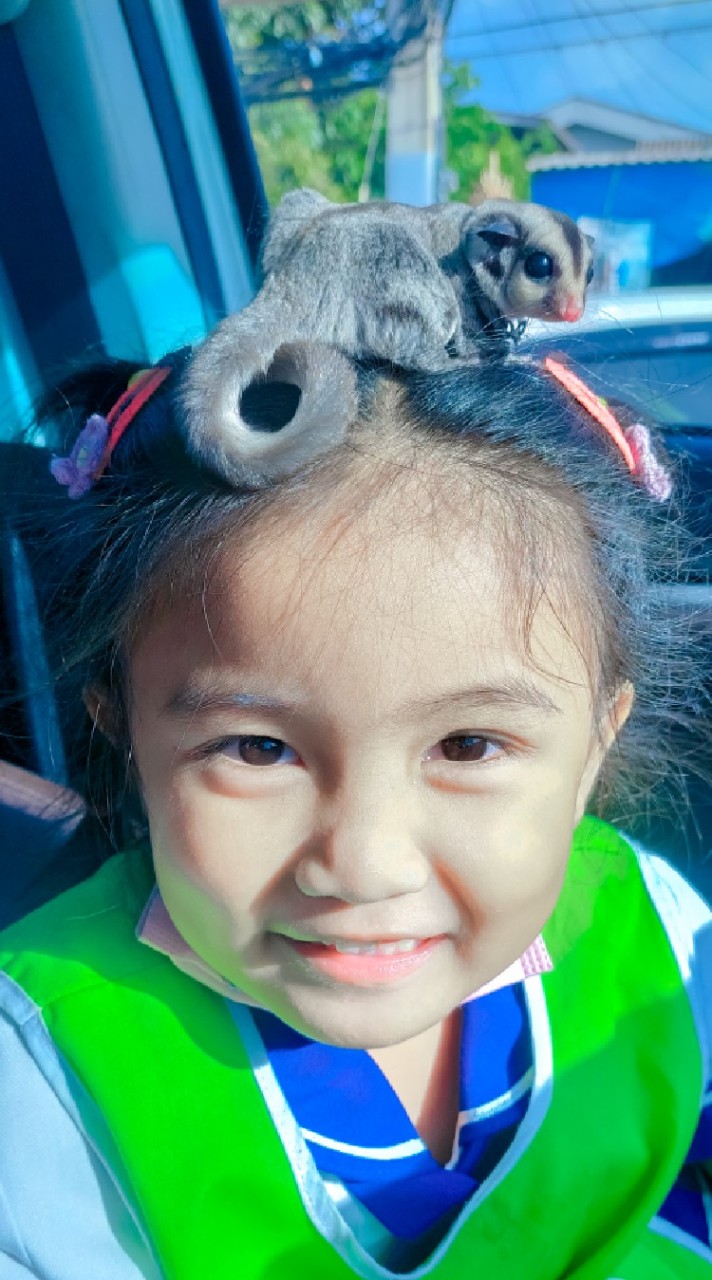 ชูก้าไรเดอร์-ซูคาต้า