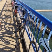 愛知県‘‘ゆるポタ’’専用 自転車好きサイクルチャット 【初心者🔰・女性歓迎♪】