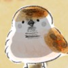 マリメの雑談てきなに入りたい人入って
