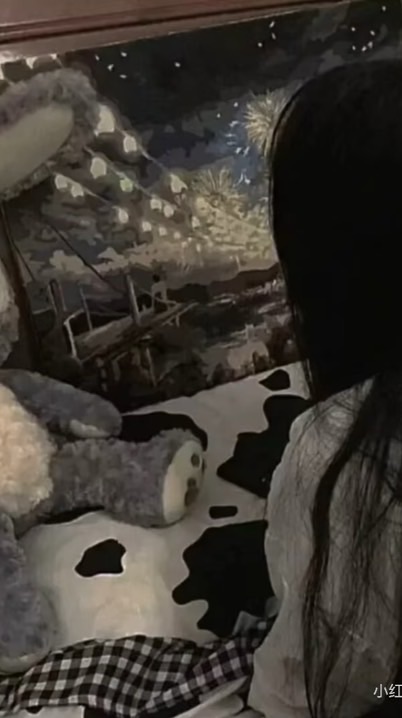 追星女們請進