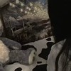 追星女們請進