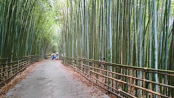 泰安一日遊