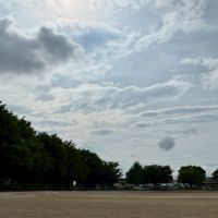 相川竜星⚾️体験会情報