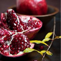 愛知。不妊、不妊治療の情報交換、悩み相談