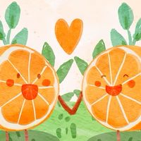 ส้มส้มของพี่โป๊ป 🍊