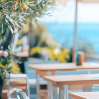 〘東海〙大人の陽だまりカフェ☕️🌿.•*愛知ꕤ岐阜ꕤ三重#40代50代60代
