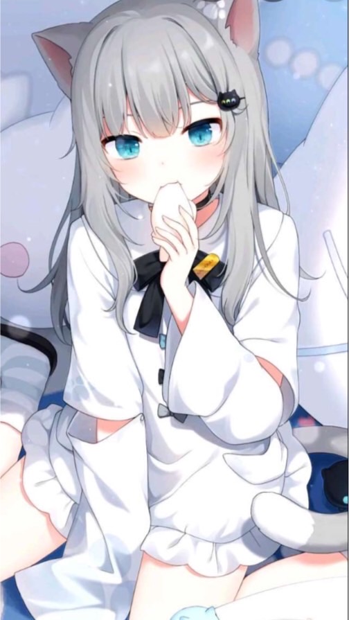 可愛貓貓社