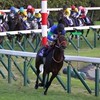 🌺ハナの競馬無料会員🌺