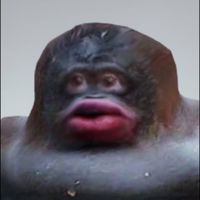 おはげーず👨🏻‍🦲🏳️‍🌈