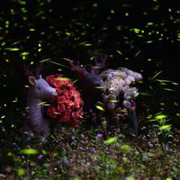 小姐愛生氣