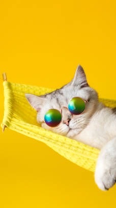 LUANAななみチーム🌼*･