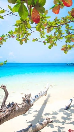 🏖️🏖️เที่ยวแหลมสิงห์🏖️🏖️